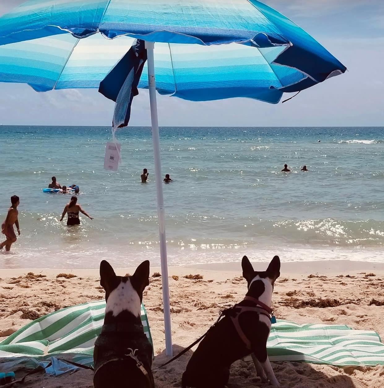 Steps To Sea Miami Beach Free Parking Pet & Family Friendly Apartment Екстериор снимка